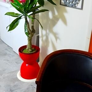 Red metal planter